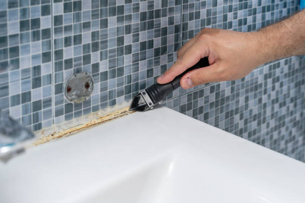 Best Mold Testing and Inspection Services in Kemah, TX