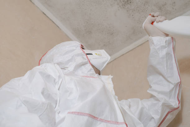 Best Commercial Mold Remediation in Kemah, TX
